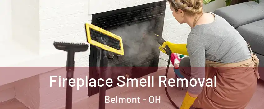 Fireplace Smell Removal Belmont - OH