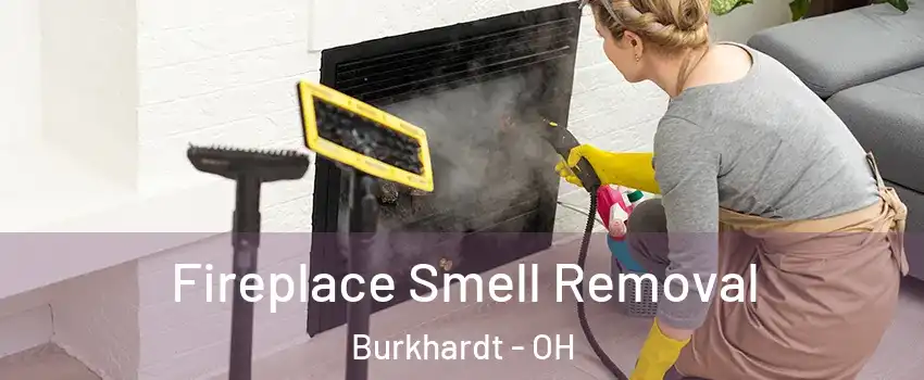 Fireplace Smell Removal Burkhardt - OH