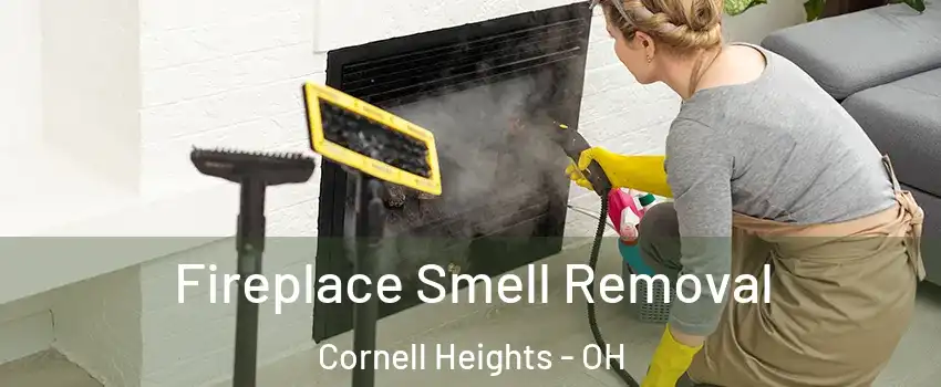 Fireplace Smell Removal Cornell Heights - OH