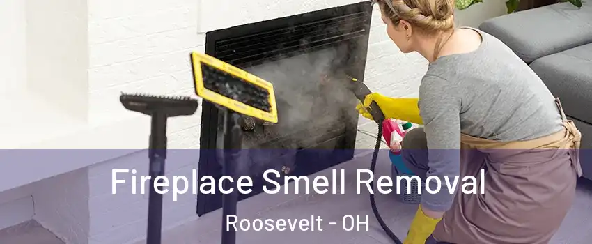 Fireplace Smell Removal Roosevelt - OH