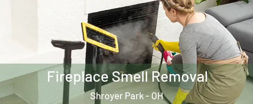 Fireplace Smell Removal Shroyer Park - OH