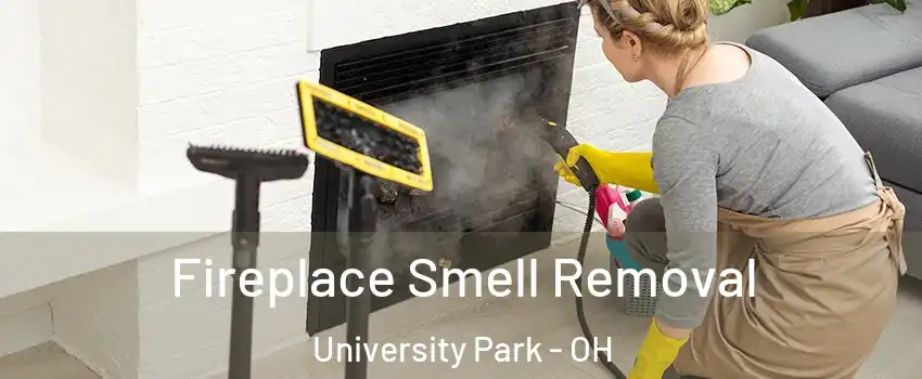 Fireplace Smell Removal University Park - OH