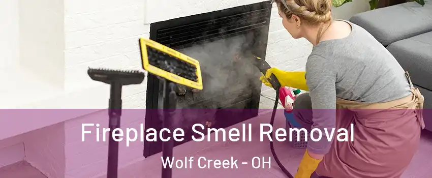 Fireplace Smell Removal Wolf Creek - OH