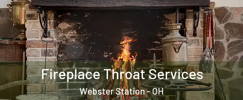 Fireplace Throat Services Webster Station - OH
