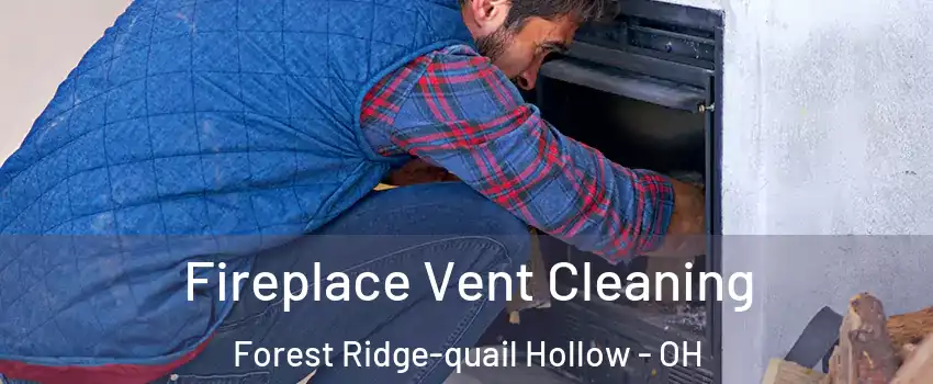 Fireplace Vent Cleaning Forest Ridge-quail Hollow - OH