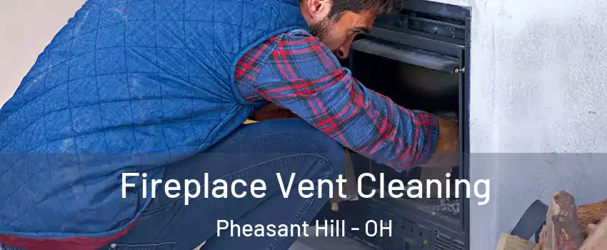 Fireplace Vent Cleaning Pheasant Hill - OH