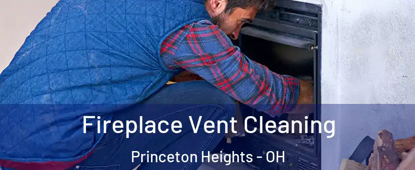 Fireplace Vent Cleaning Princeton Heights - OH
