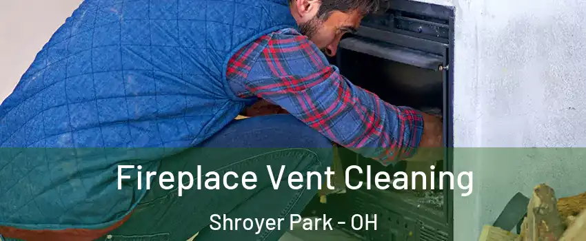 Fireplace Vent Cleaning Shroyer Park - OH