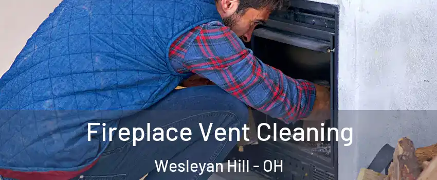 Fireplace Vent Cleaning Wesleyan Hill - OH