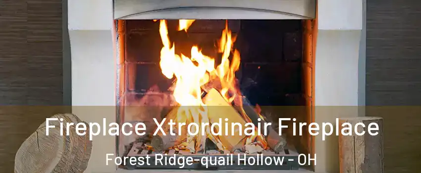 Fireplace Xtrordinair Fireplace Forest Ridge-quail Hollow - OH