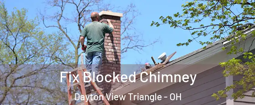 Fix Blocked Chimney Dayton View Triangle - OH