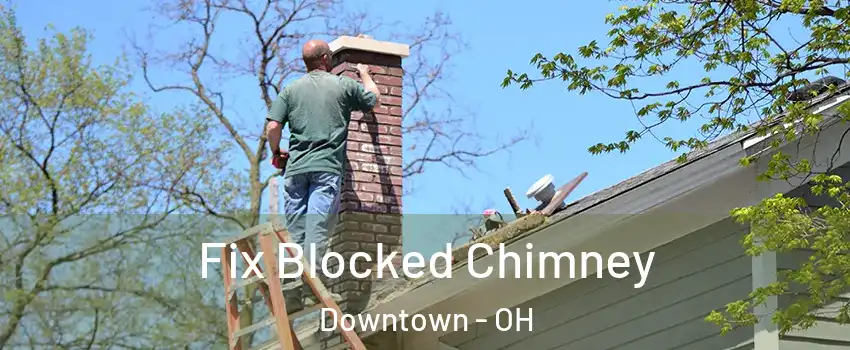 Fix Blocked Chimney Downtown - OH