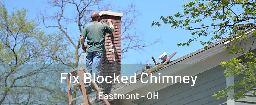 Fix Blocked Chimney Eastmont - OH