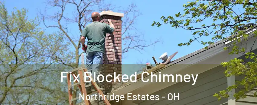 Fix Blocked Chimney Northridge Estates - OH