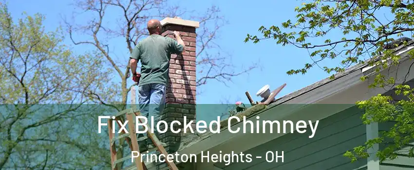 Fix Blocked Chimney Princeton Heights - OH