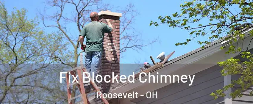 Fix Blocked Chimney Roosevelt - OH