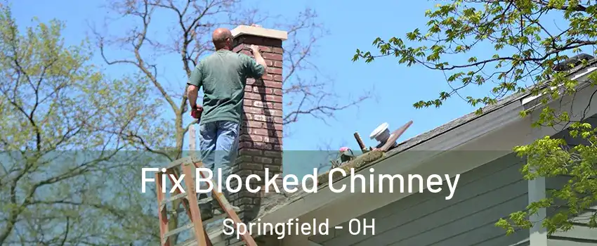 Fix Blocked Chimney Springfield - OH