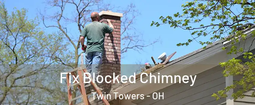Fix Blocked Chimney Twin Towers - OH