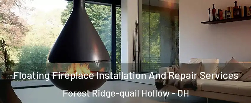 Floating Fireplace Installation And Repair Services Forest Ridge-quail Hollow - OH