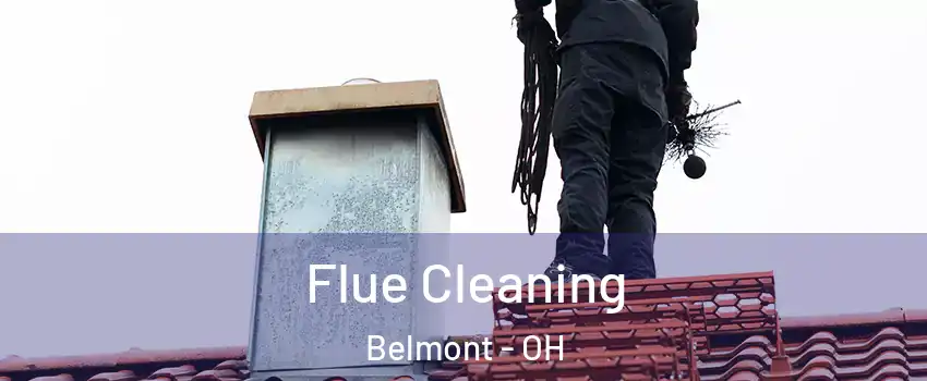 Flue Cleaning Belmont - OH