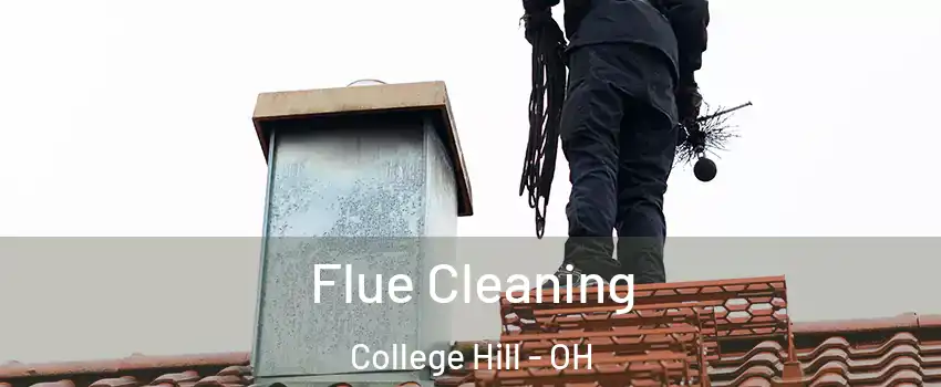 Flue Cleaning College Hill - OH