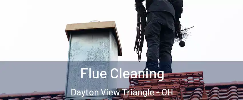 Flue Cleaning Dayton View Triangle - OH