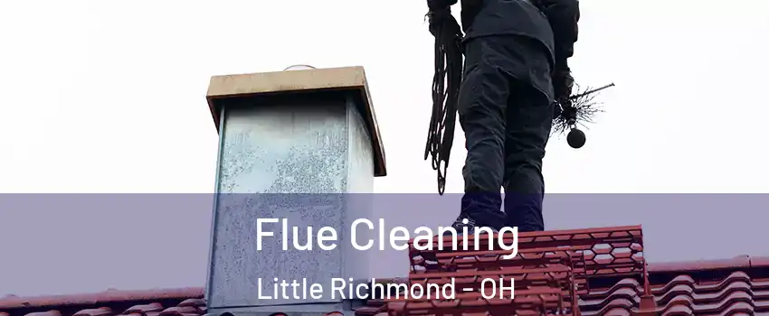 Flue Cleaning Little Richmond - OH