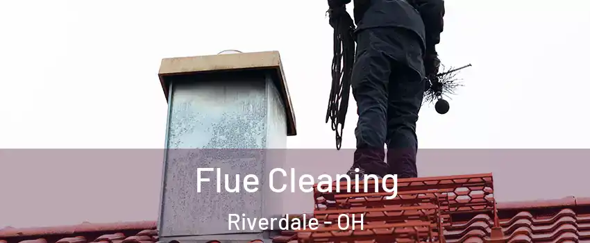 Flue Cleaning Riverdale - OH