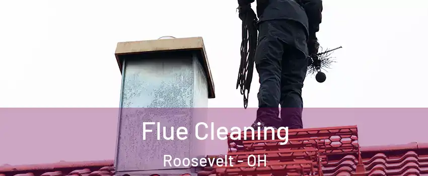 Flue Cleaning Roosevelt - OH