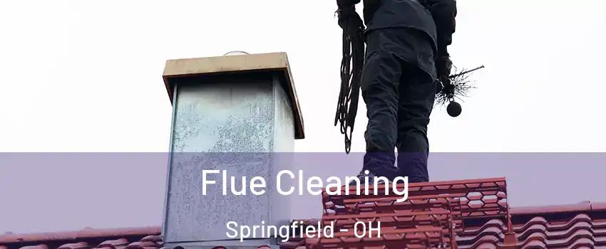 Flue Cleaning Springfield - OH