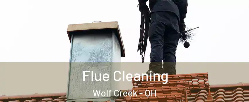 Flue Cleaning Wolf Creek - OH