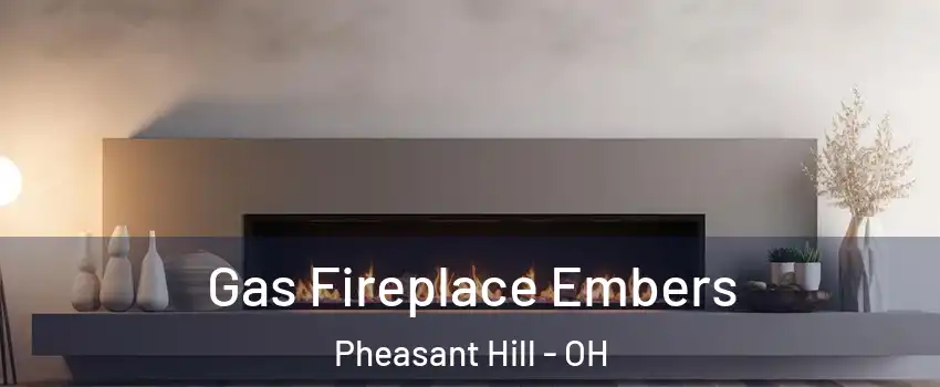 Gas Fireplace Embers Pheasant Hill - OH