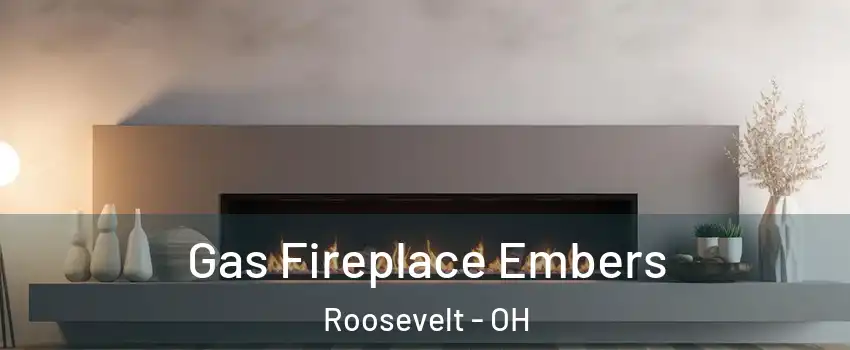 Gas Fireplace Embers Roosevelt - OH