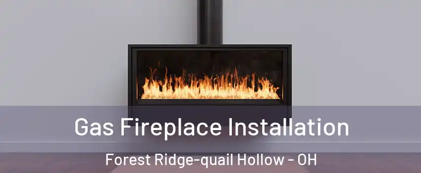 Gas Fireplace Installation Forest Ridge-quail Hollow - OH