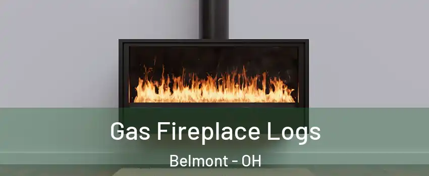 Gas Fireplace Logs Belmont - OH