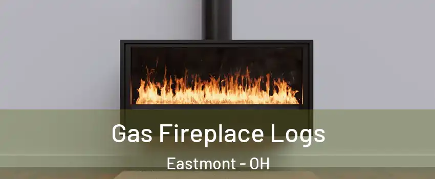 Gas Fireplace Logs Eastmont - OH