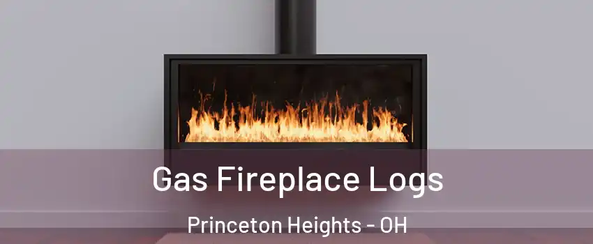 Gas Fireplace Logs Princeton Heights - OH