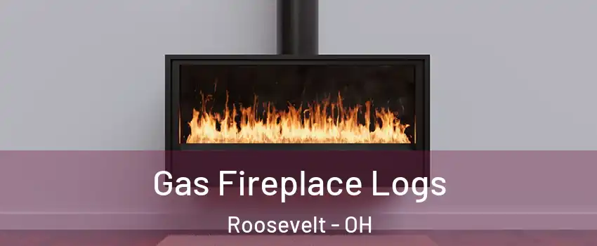 Gas Fireplace Logs Roosevelt - OH