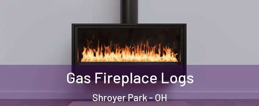 Gas Fireplace Logs Shroyer Park - OH