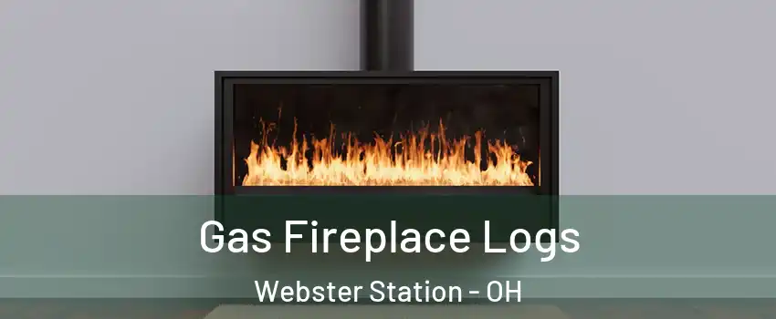 Gas Fireplace Logs Webster Station - OH