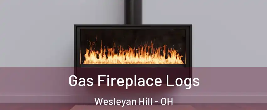 Gas Fireplace Logs Wesleyan Hill - OH