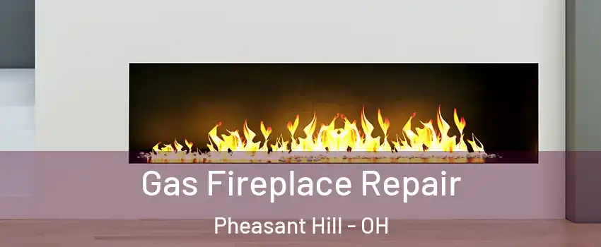Gas Fireplace Repair Pheasant Hill - OH