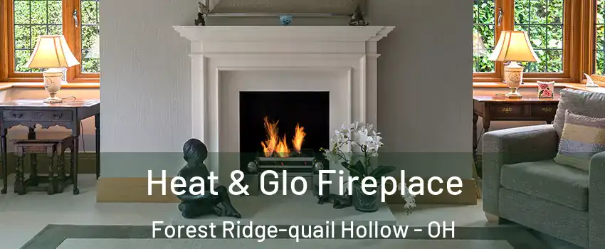 Heat & Glo Fireplace Forest Ridge-quail Hollow - OH