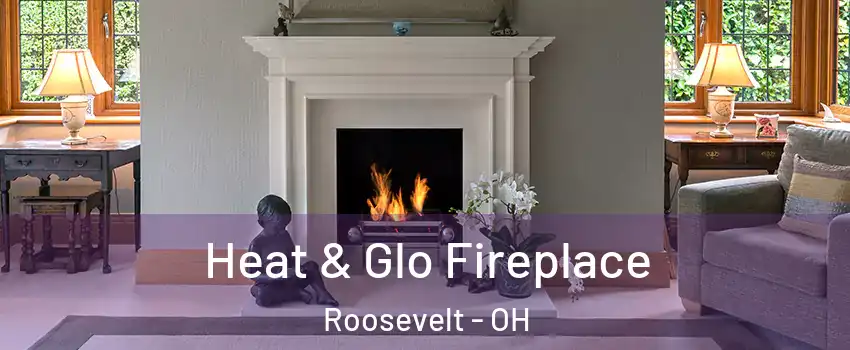 Heat & Glo Fireplace Roosevelt - OH