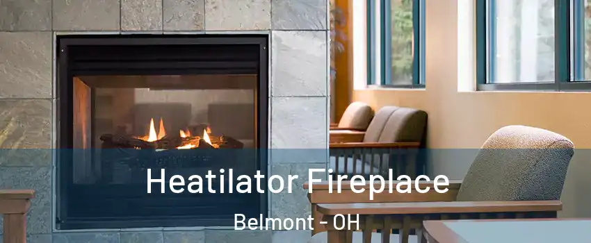 Heatilator Fireplace Belmont - OH