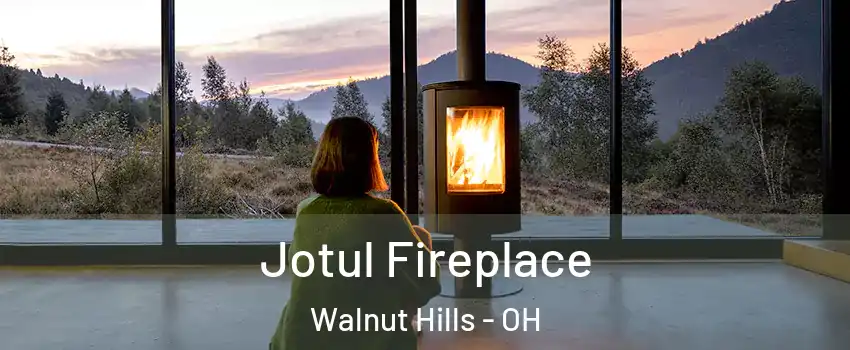 Jotul Fireplace Walnut Hills - OH
