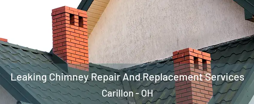 Leaking Chimney Repair And Replacement Services Carillon - OH