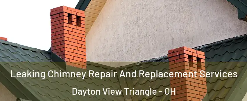 Leaking Chimney Repair And Replacement Services Dayton View Triangle - OH