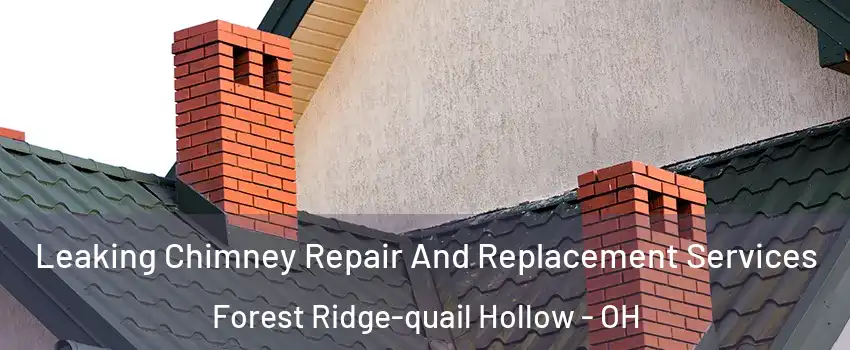 Leaking Chimney Repair And Replacement Services Forest Ridge-quail Hollow - OH
