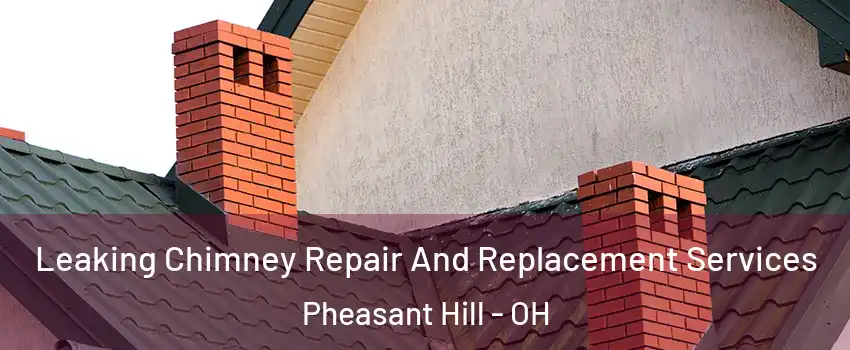 Leaking Chimney Repair And Replacement Services Pheasant Hill - OH